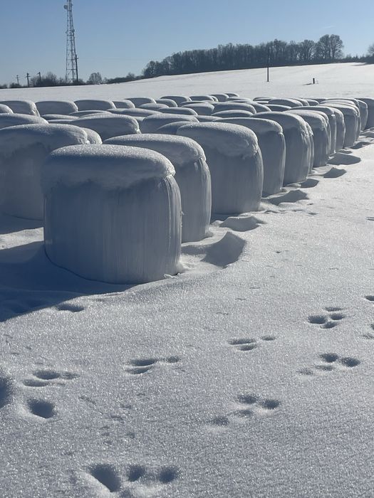 Vand bolalot de lucerna