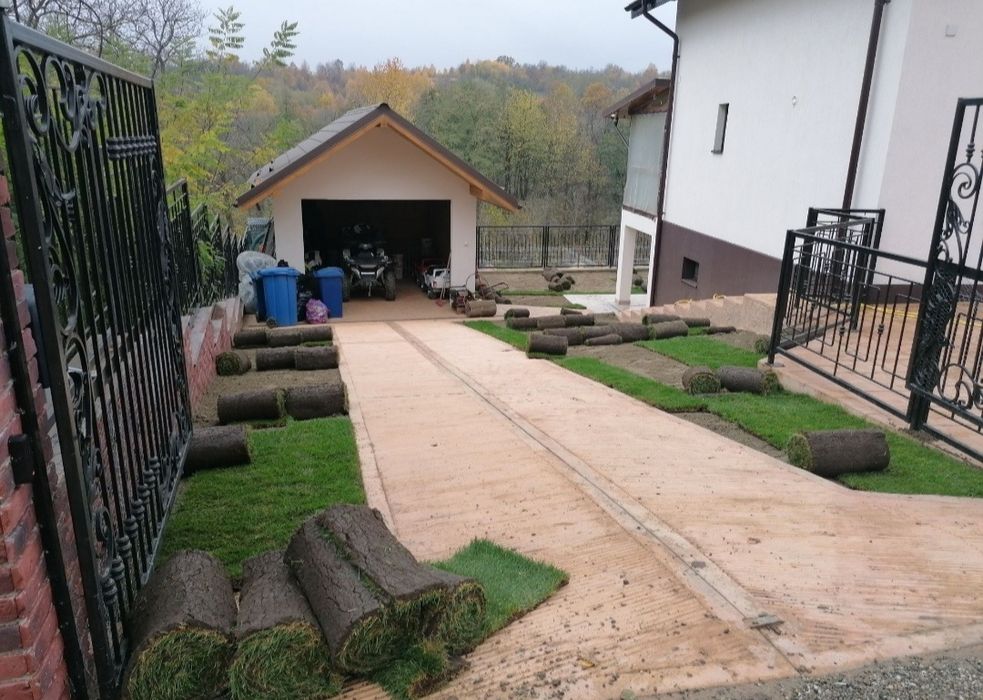 Gazon rulou de trafic. 24 de lei m2.Transport si montaj inclus în preț