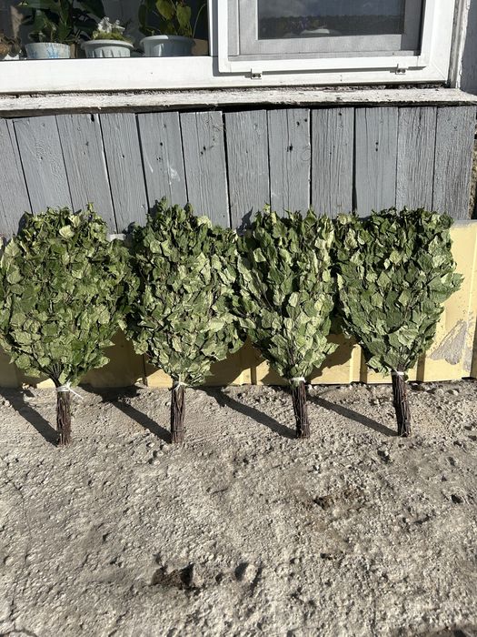 Березовые Банные веники