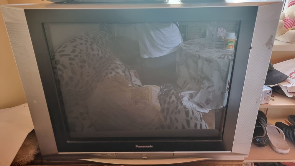 Телевизор Panasonic TX-29FJ20T