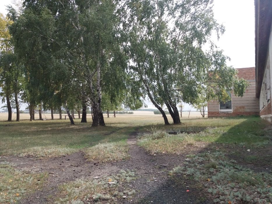 Фазенда. Продам фазенду