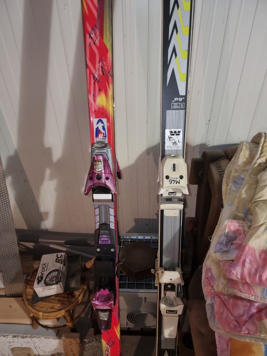 Schiuri salamon si volkl