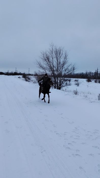 Продам кунан 3 годаш