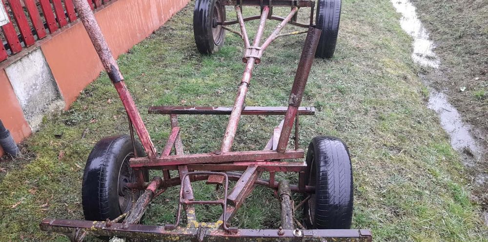 Vând vacii Baltate!