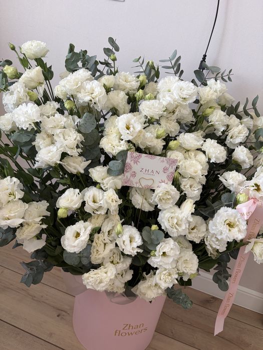 продам живые цветы