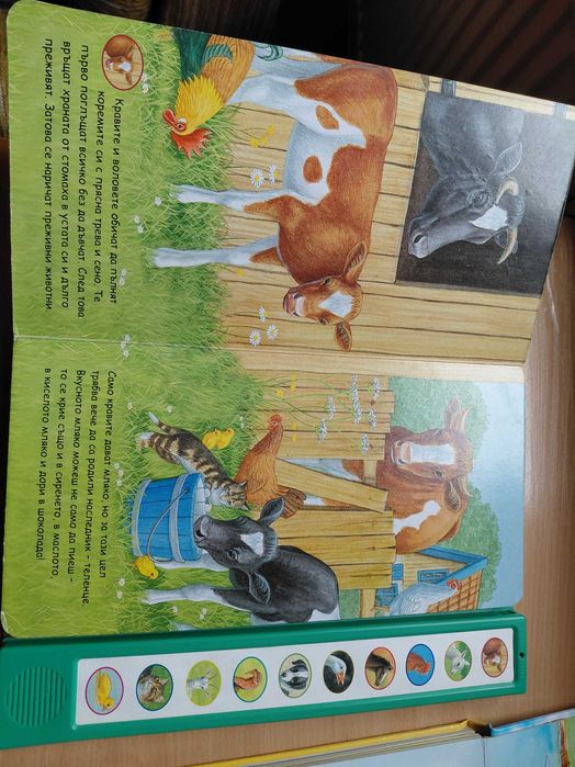 Лот - 2 музикални книги