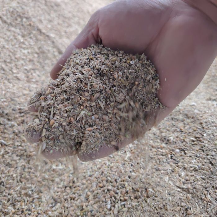 Продам корм зерно отходый