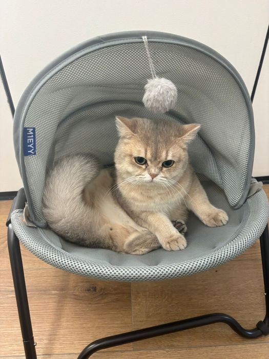 Продам лежанку для кота