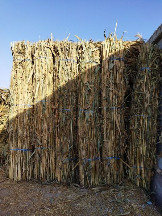 Lombozga Qamich Somon Tegirmon Somon gul suvoq