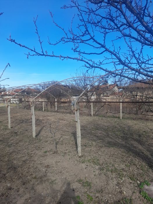 Оранжерия метална