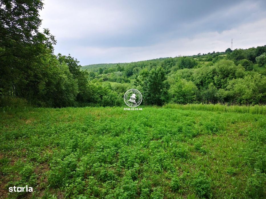 Teren intravilan - 2980mp - de vanzare in Carbunari, Grajduri
