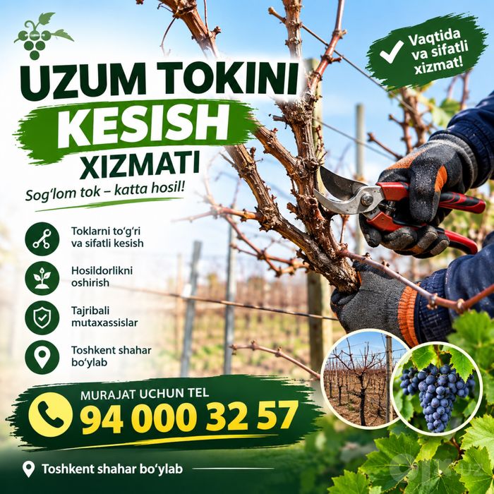 Uzum tokini kesish xizmati toshkent shahar boylab