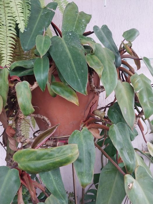 Красивый аксессуар на подоконник,