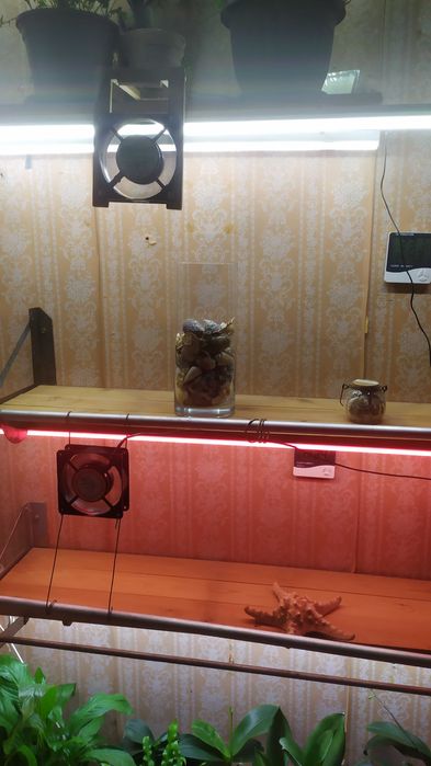 Стеллаж для выращивания цветов.