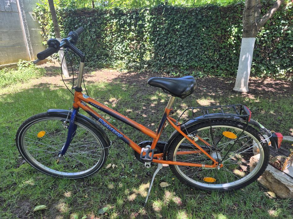 Vand bicicleta Pegasus