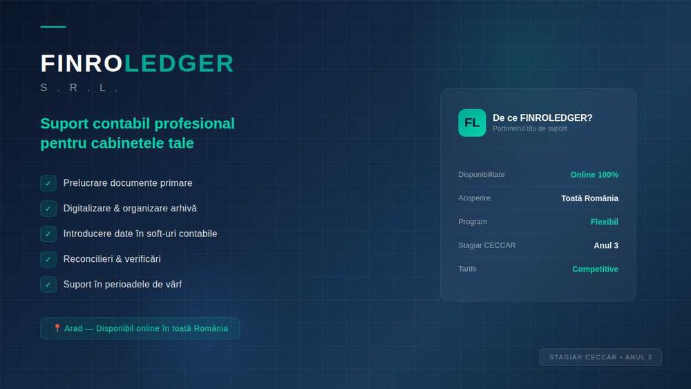 Suport contabil pentru cabinete și contabili experți — Online