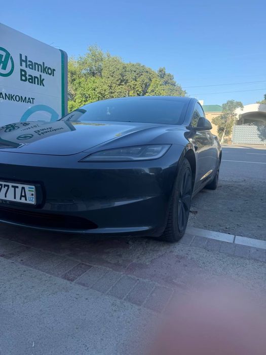 tesla model 3 2024 rest