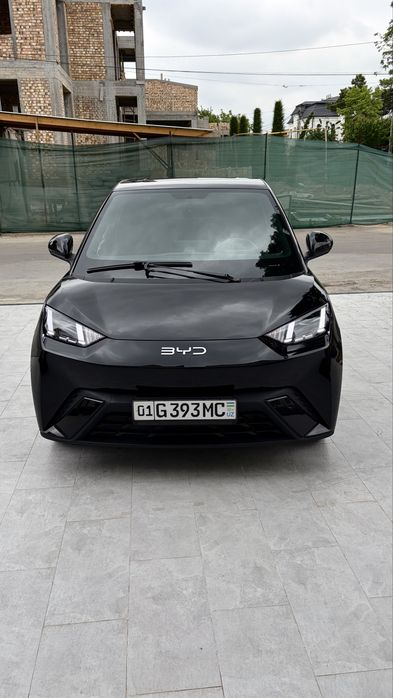 BYD Seagull 2024
