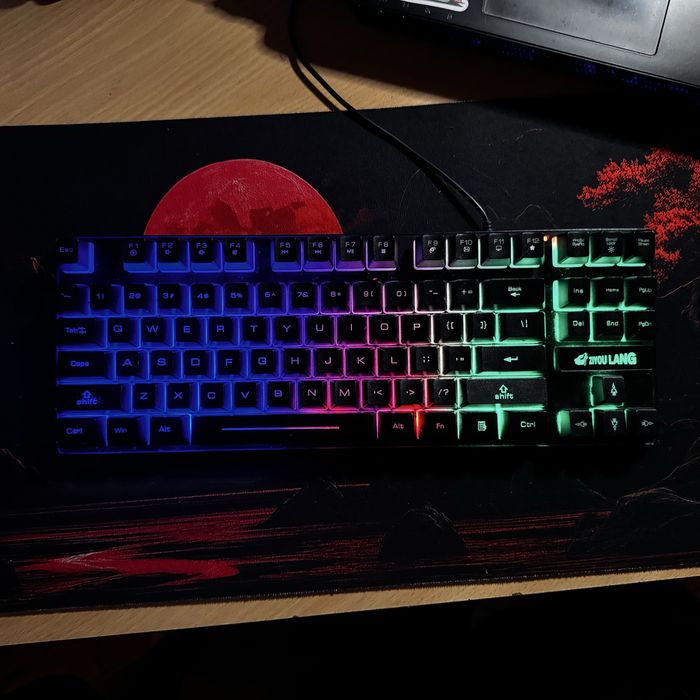 Tastatura Gaming RGB Ziyou Lang