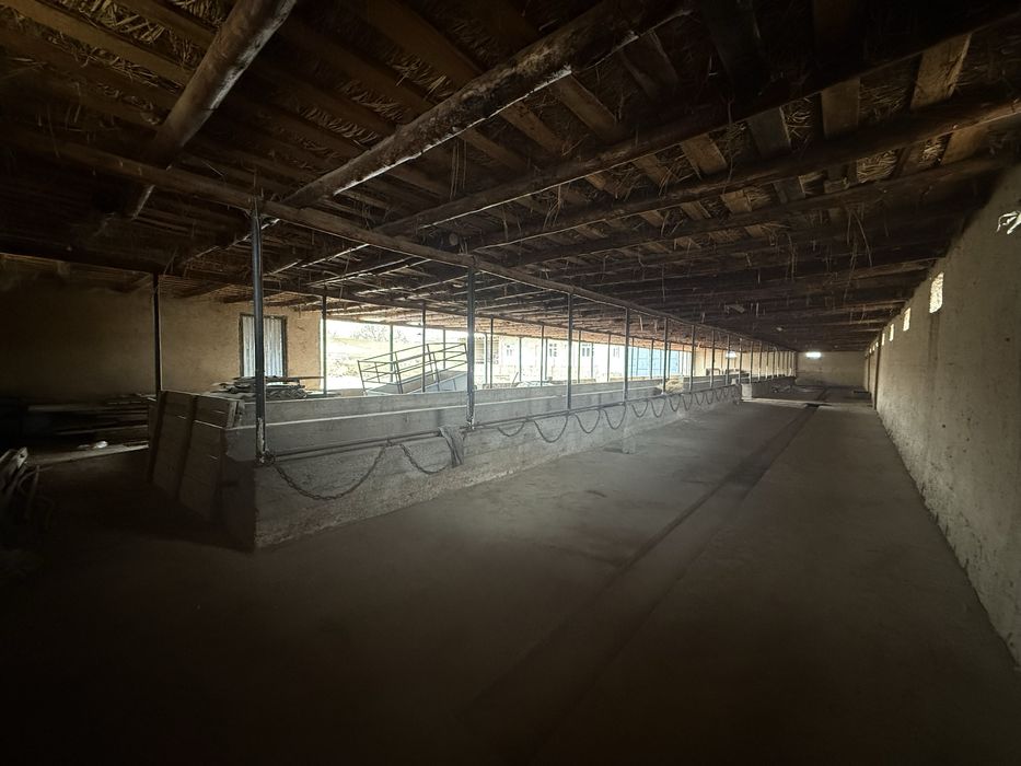 Дайын қора + үй сатылады