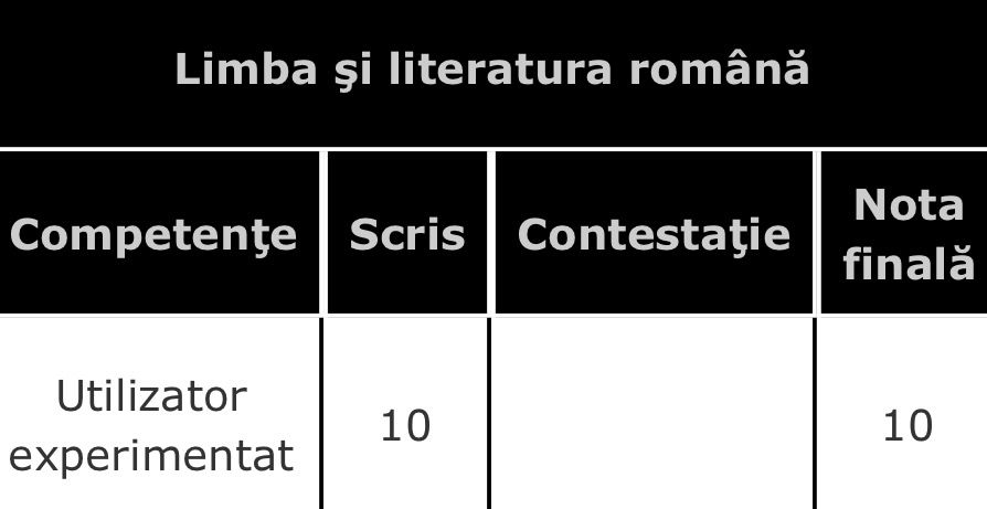 Comentarii Limba si Literatura Romana Bacalaureat- Nota 10