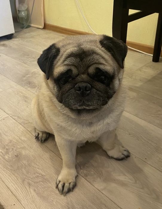 Мальчик - красавчик ищет подружку