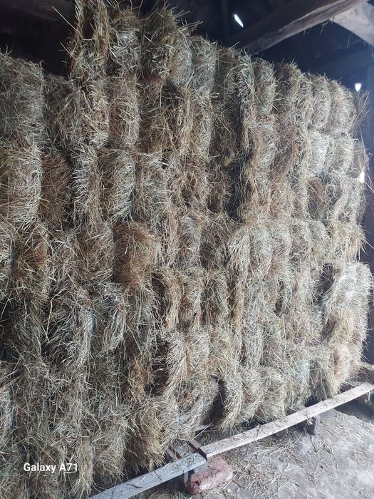 Baloți dreptunghiulari