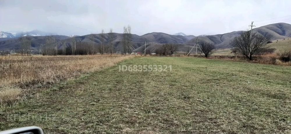 Сдам в аренду участок КХ