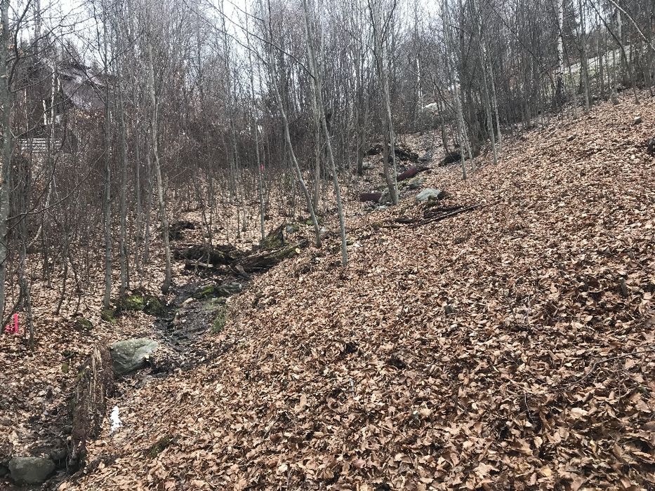 Teren intravilan 649 mp – Zona Rusu, la marginea pădurii