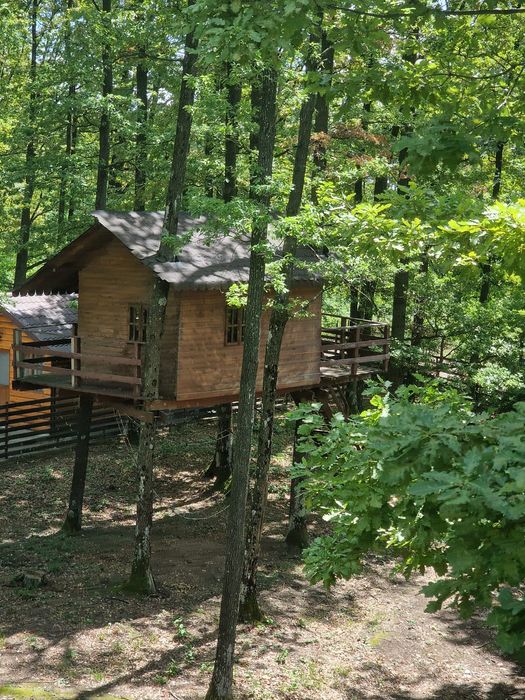 Vila de vanzare Pitesti