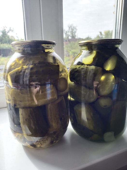 Продам домашние огурцы  .