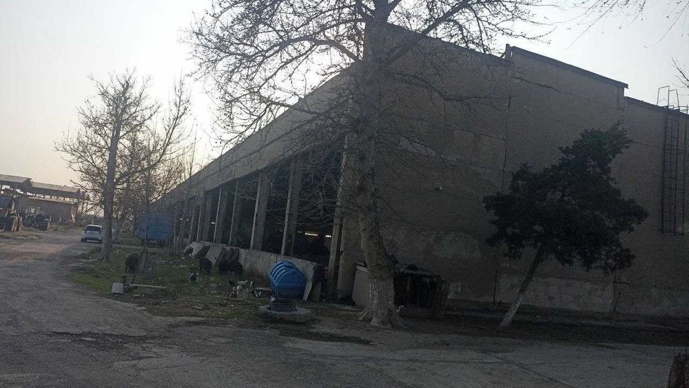 Срочно кўчмас мулк биноси сотилади