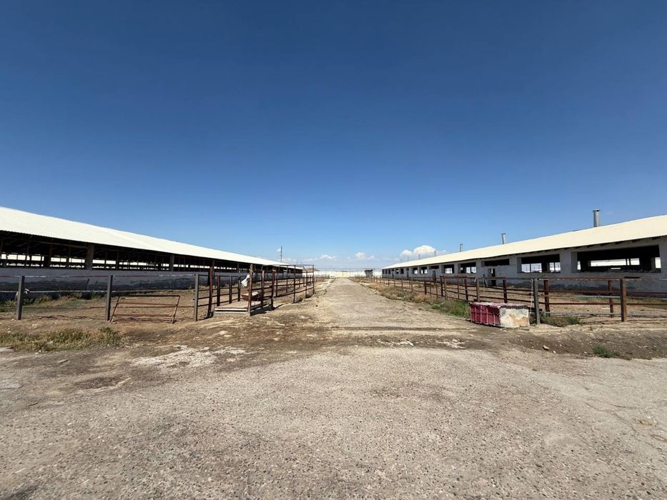 Tayyor 4,5 gektarli ferma sotiladi (Buxoro/kogon)