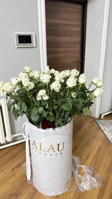 Срочно продам цветы! 10-15к. Торг есть