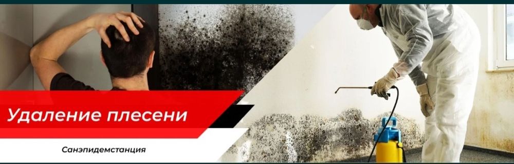 Уничтожаем плесень грибок трупный запах 100%