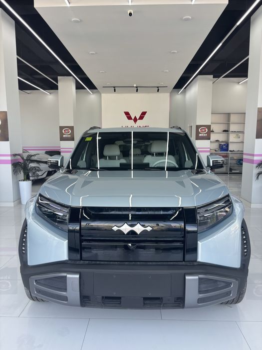 Other Leopard 3 2025