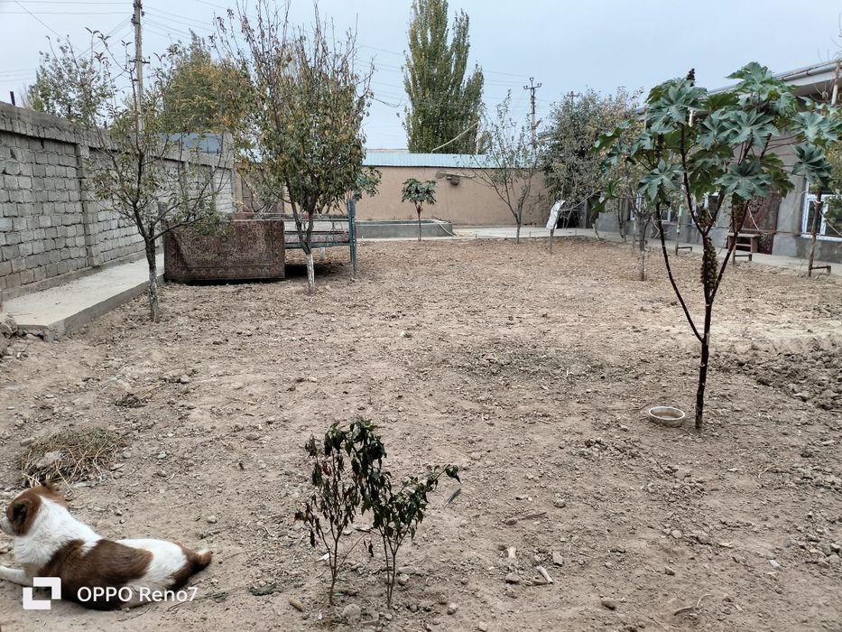 5 sotix uchaska sotiladi 3 ta xonasi narxi 55000$ kelishamz