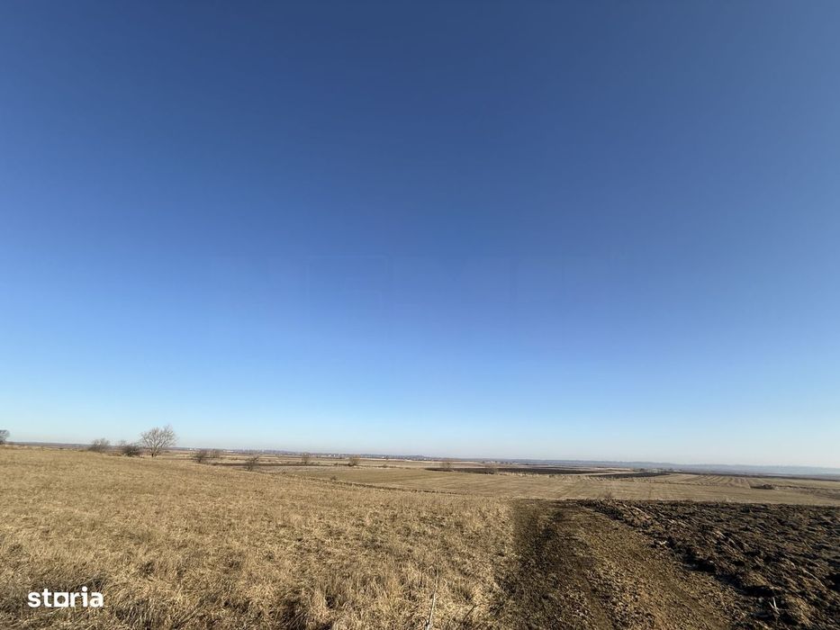 Teren extravilan | Rădăuți | 600 m de centură | 20 m front