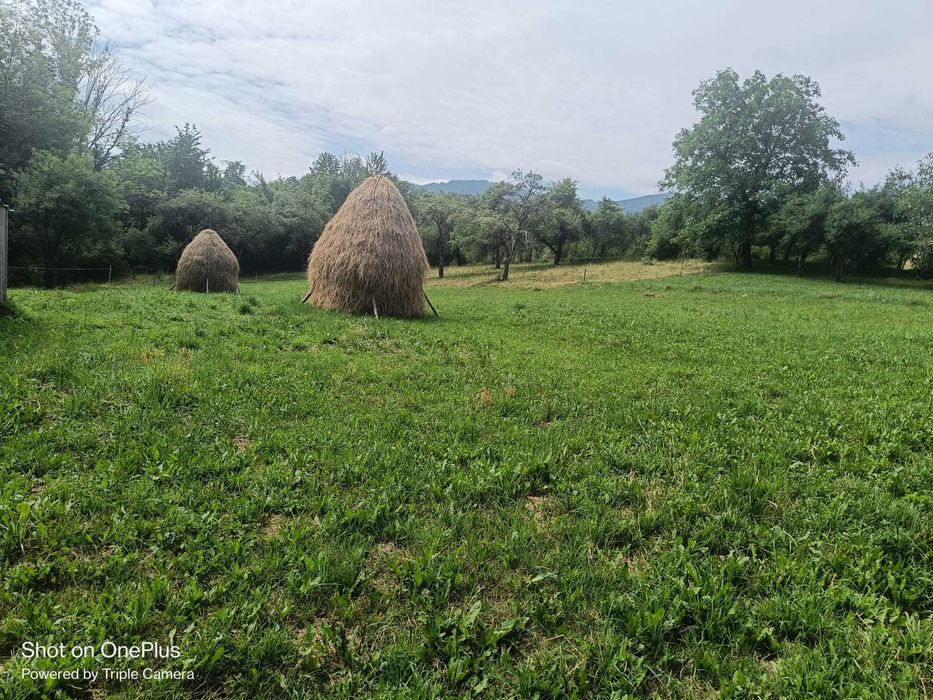 Casă tradițională din lemn + anexă, teren 58 ari, în Breb – zonă retrasă, ideală pentru relaxare sau investiție