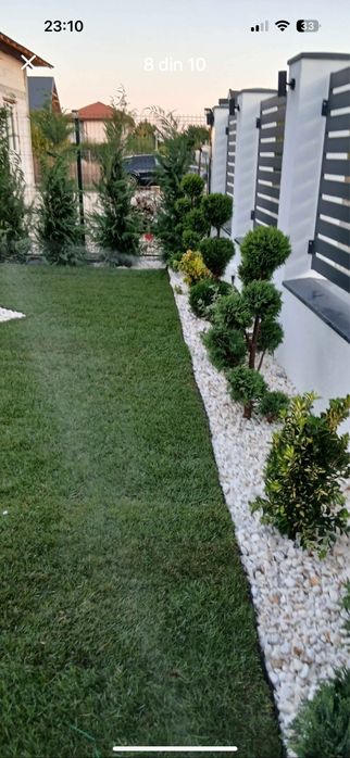 Gazon profesional rulou – soluția perfectă pentru o curte elegantă și îngrijită