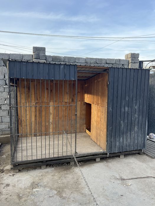 Продам собаку с вольером