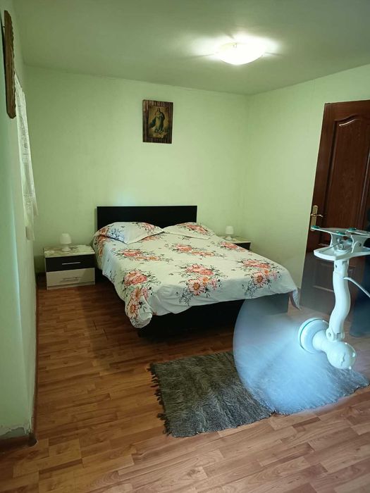 Vand casa la Tara