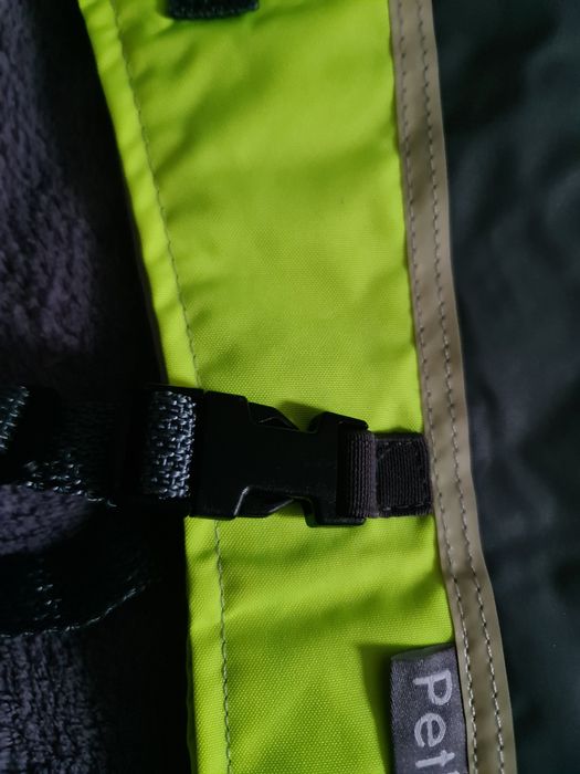 Hainuta catei, reflectorizanta