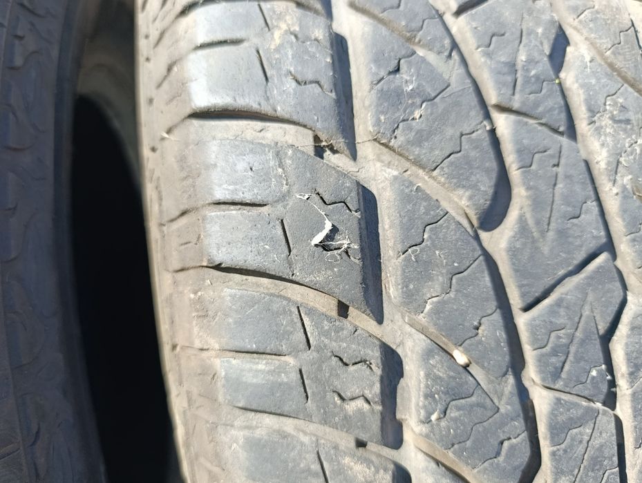 Авто шины Максим браво