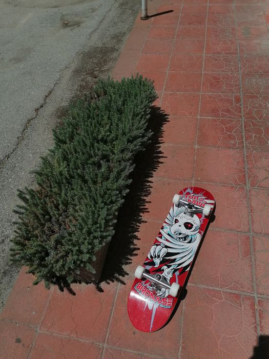 Скейтборд Birdhouse Tony Hawk
