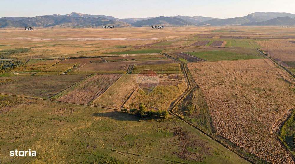Teren extravilan 44.000 mp (4,4 ha) | Hărman | Comision 0%