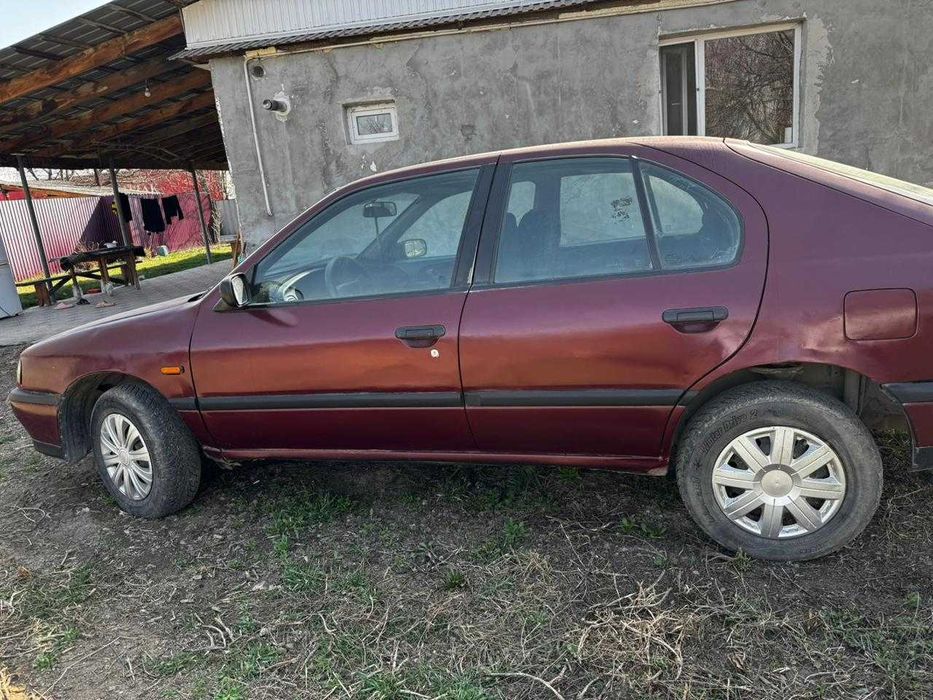 Nissan продам Primera