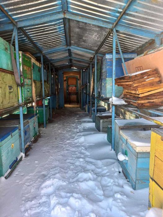 Пчелопавильон. Прицеп для пчёл.