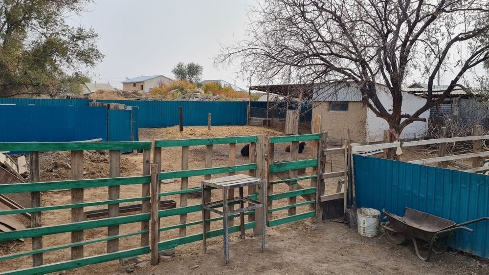 Үй сатылады Жалағашта