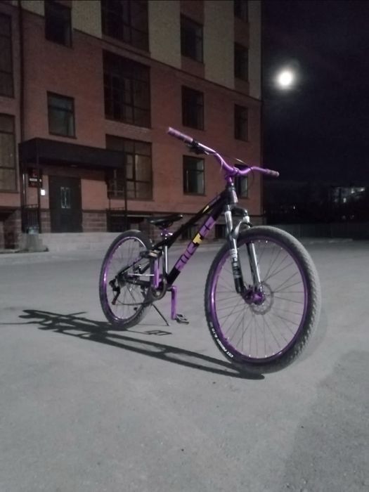 Стант вилик и горный